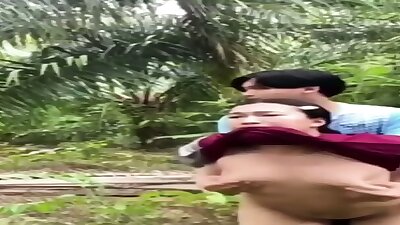 Kebun Sawit Nak Jadi Saksiibu Tiri